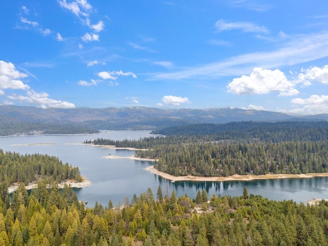 water view with a mountain view and a forest view