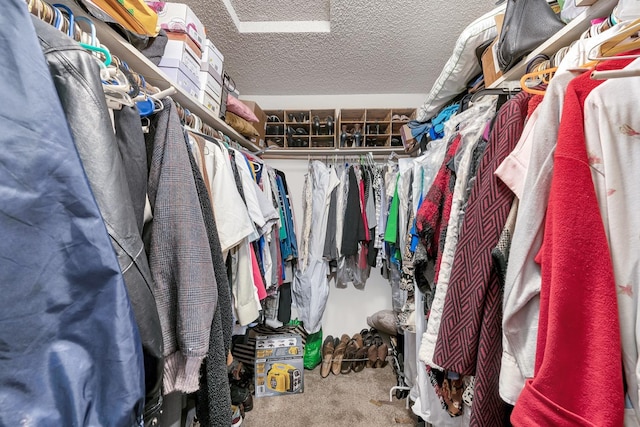 167 W Quincy Ave, Fresno, CA 93711 - spacious closet featuring carpet flooring