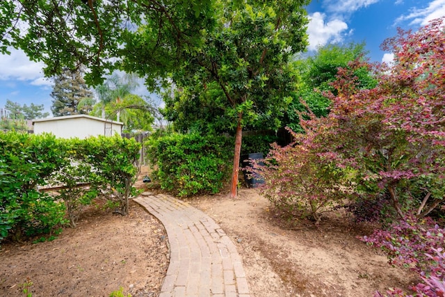 167 W Quincy Ave, Fresno, CA 93711 - view of yard
