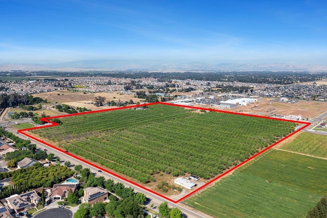 8175 E Shaw Ave, Clovis, CA 93619 - photo 19