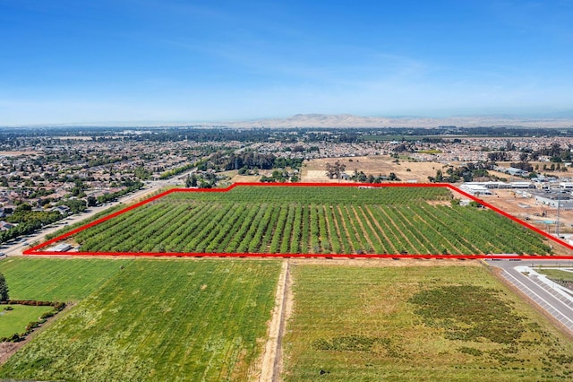 8175 E Shaw Ave, Clovis, CA 93619 - photo 25