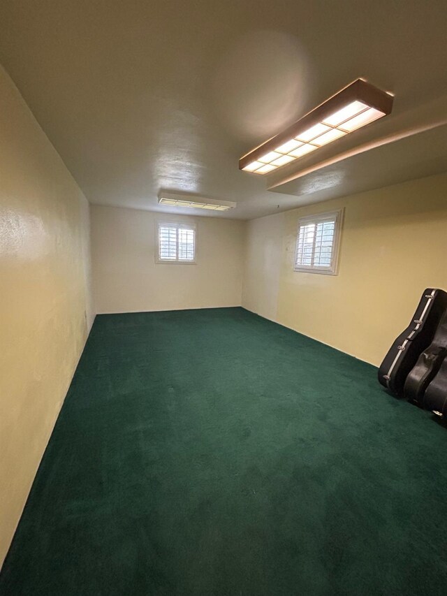 523 W Yosemite, Madera, CA 93637 - basement with plenty of natural light and carpet flooring