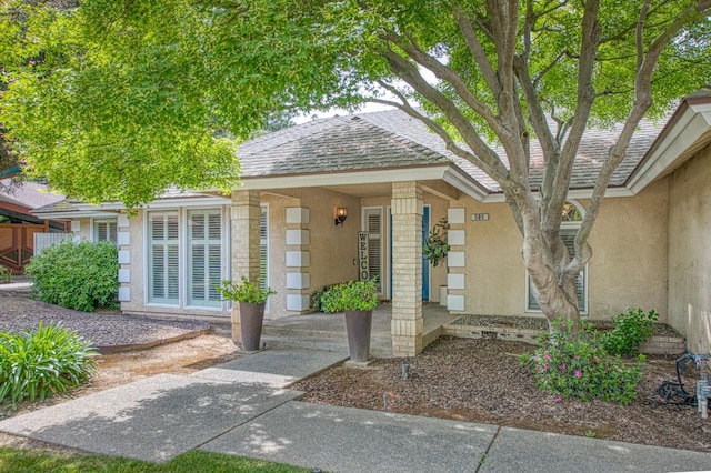 doorway to property featuring roof with shingles and stucco siding