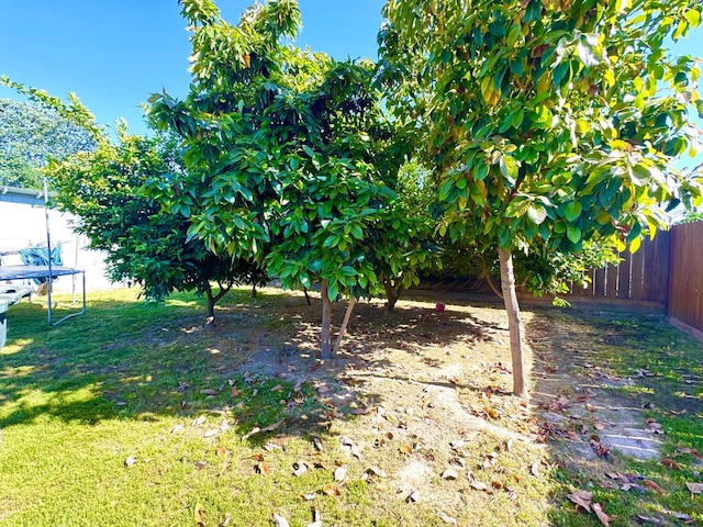 215 W Vine Ave, Visalia, CA 93291 - view of yard featuring a fenced backyard and a trampoline