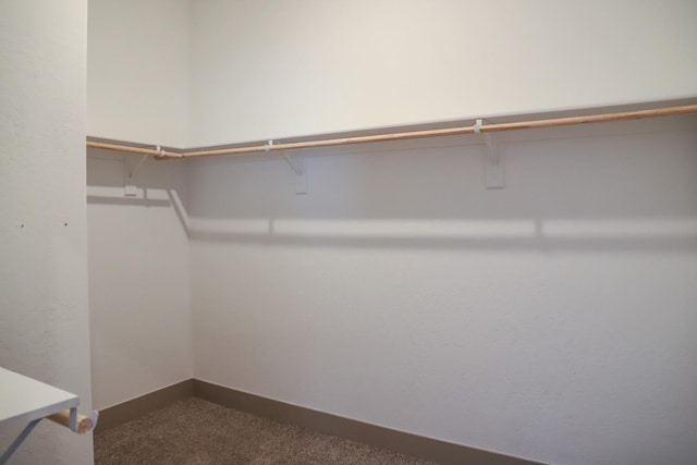 walk in closet featuring dark colored carpet