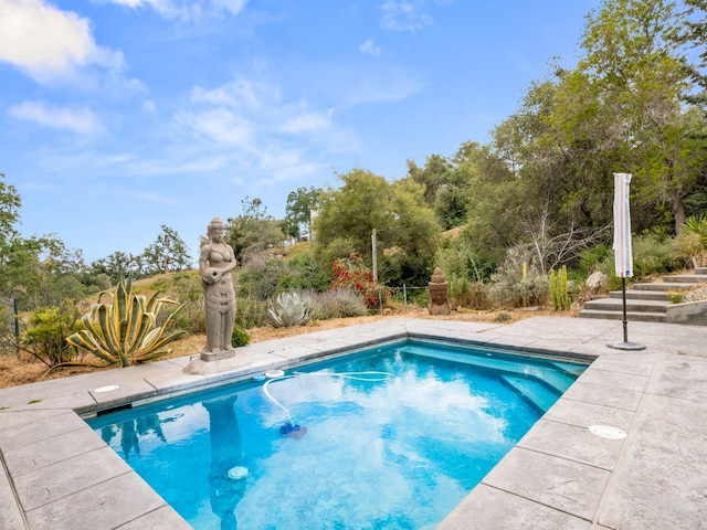 view of outdoor pool