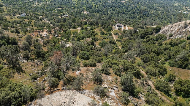 aerial view featuring a forest view