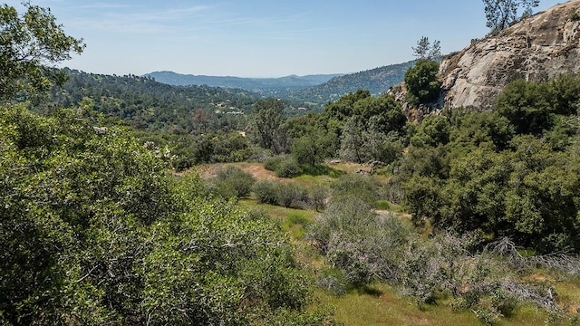 property view of mountains with a wooded view