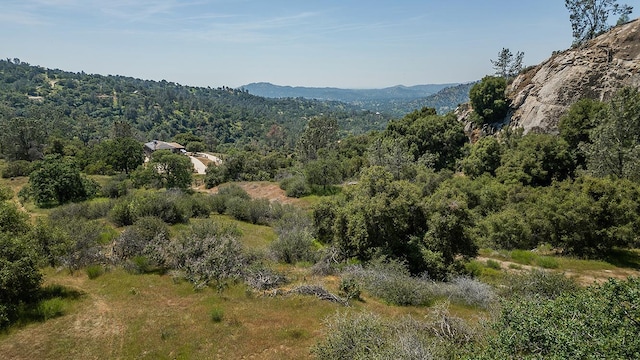 property view of mountains with a view of trees