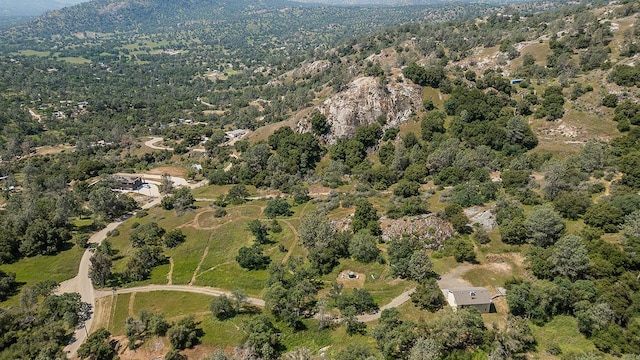 bird's eye view with a view of trees