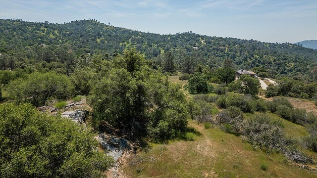 aerial view with a view of trees and a mountain view