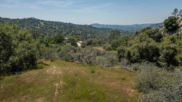 view of mountain feature with a wooded view