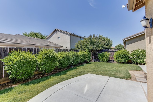 view of yard with a fenced backyard and a patio area