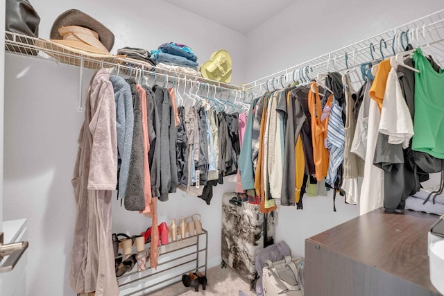 spacious closet featuring carpet flooring