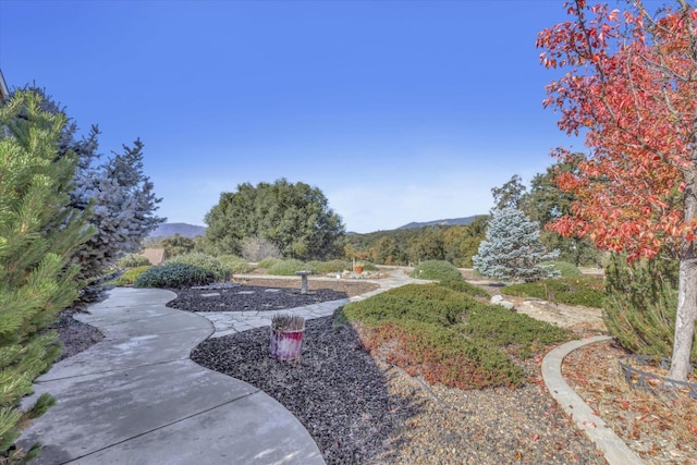 view of property's community with a mountain view