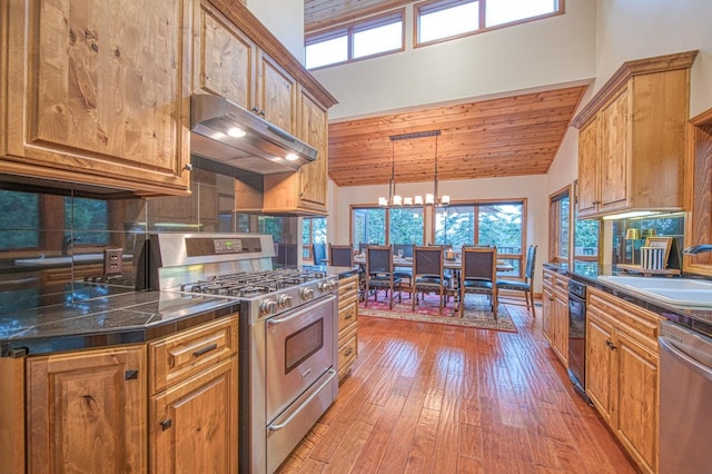 40596 Wild Iris Ln, Shaver Lake, CA 93664 - kitchen with tasteful backsplash, a sink, stainless steel appliances, light wood-type flooring, and under cabinet range hood