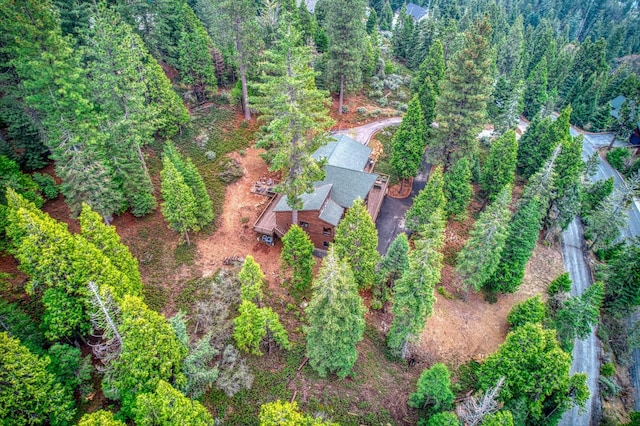 40596 Wild Iris Ln, Shaver Lake, CA 93664 - bird's eye view