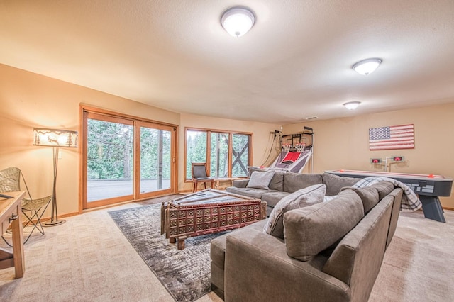 40596 Wild Iris Ln, Shaver Lake, CA 93664 - living room with light colored carpet and baseboards