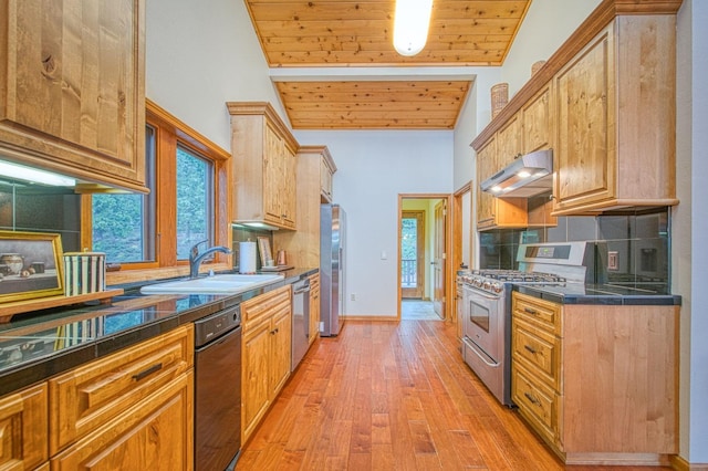 40596 Wild Iris Ln, Shaver Lake, CA 93664 - kitchen featuring a sink, high vaulted ceiling, under cabinet range hood, stainless steel appliances, and light wood-style flooring