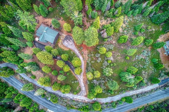 40596 Wild Iris Ln, Shaver Lake, CA 93664 - birds eye view of property