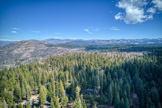 mountain view featuring a wooded view