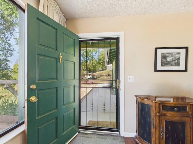 entrance foyer featuring a healthy amount of sunlight, baseboards, a textured ceiling, and wood finished floors