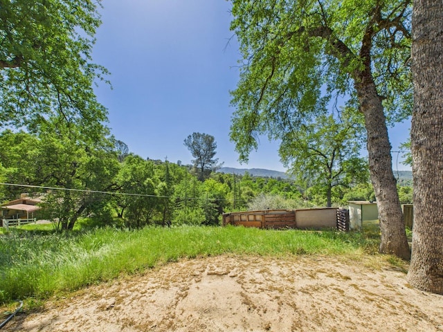view of yard featuring a view of trees