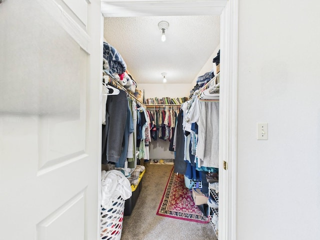 walk in closet featuring carpet
