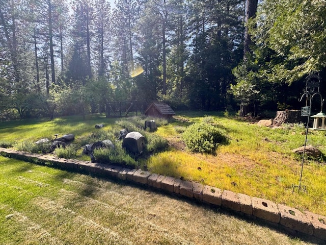 view of yard