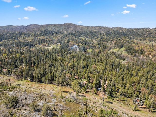 bird's eye view with a forest view and a mountain view