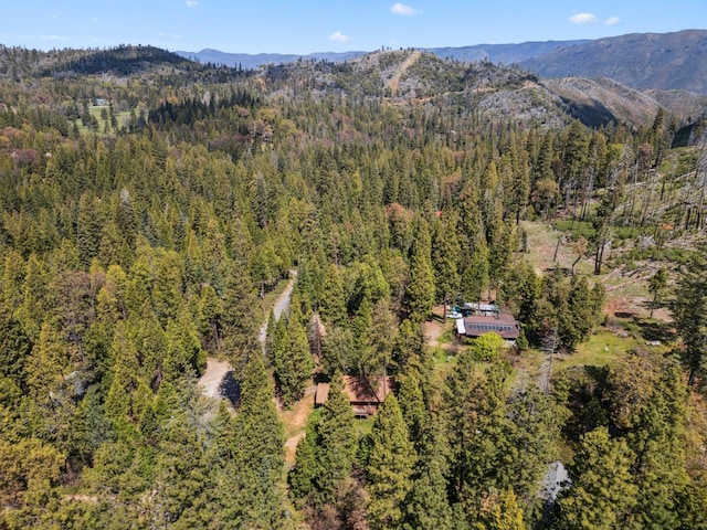 drone / aerial view featuring a mountain view and a forest view