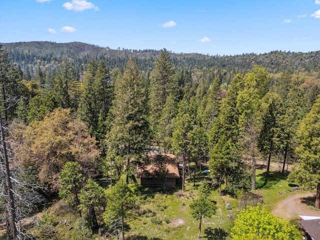 view of mountain feature featuring a forest view