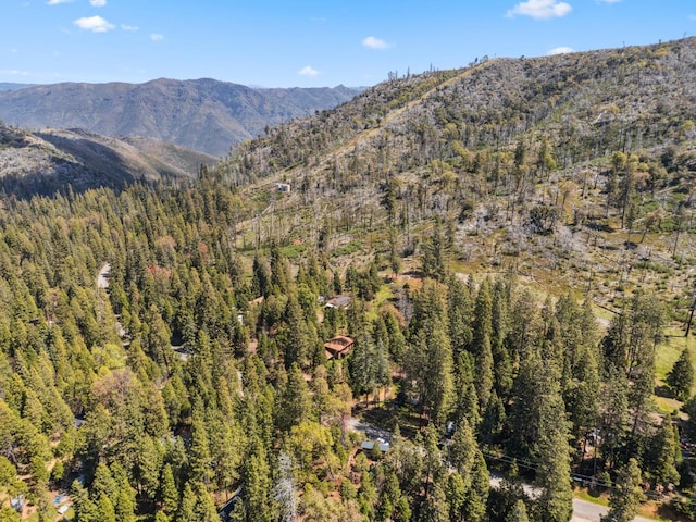 mountain view featuring a view of trees
