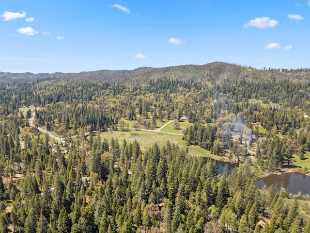 birds eye view of property featuring a water and mountain view and a forest view