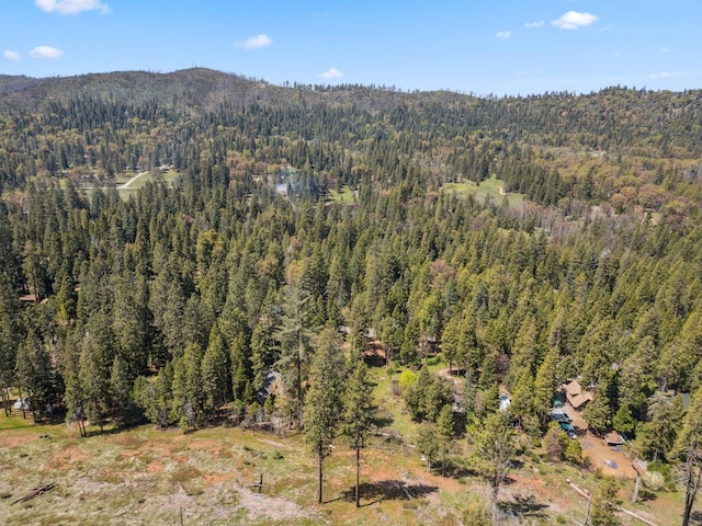 bird's eye view with a wooded view and a mountain view