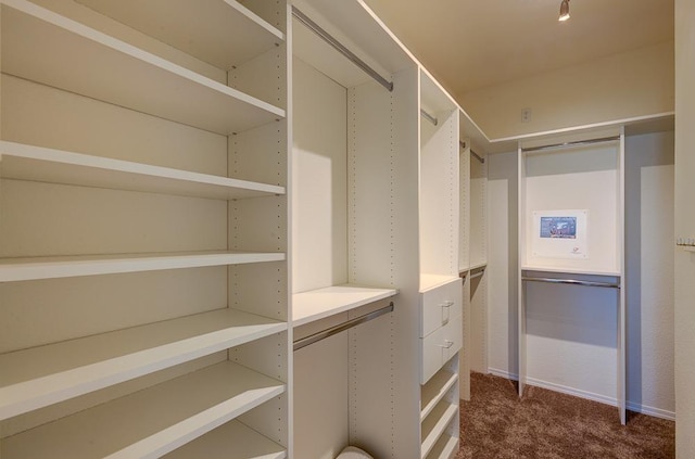 619 W Casanova Ln, Clovis, CA 93619 - spacious closet with dark carpet