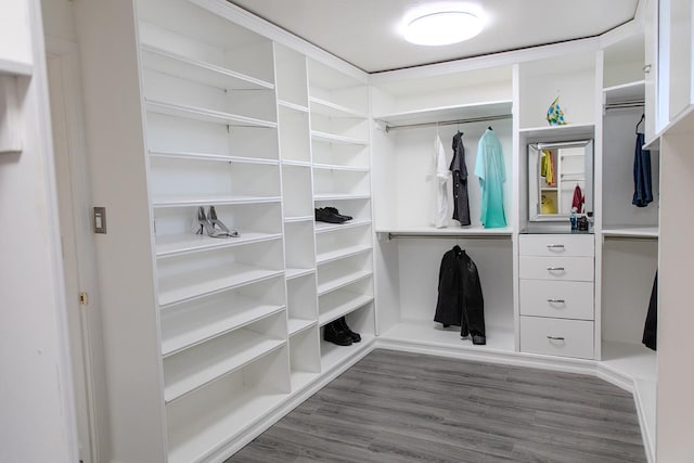 3107 Indianapolis Ave, Clovis, CA 93619 - walk in closet with dark wood-style flooring