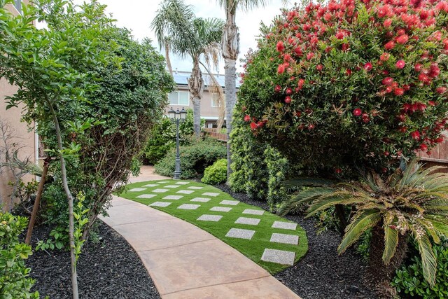 3107 Indianapolis Ave, Clovis, CA 93619 - view of property's community with a lawn