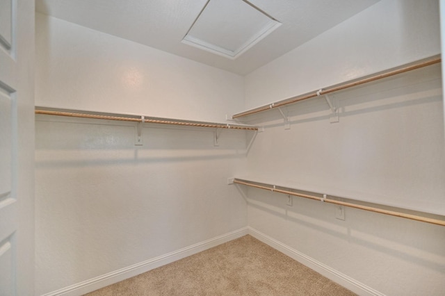 spacious closet featuring light carpet and attic access