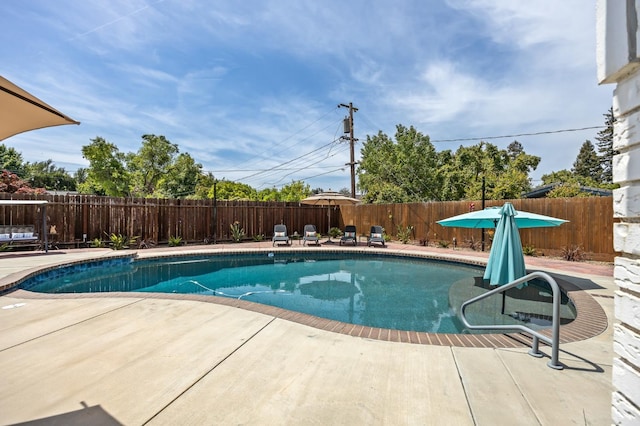 view of swimming pool featuring a fenced in pool, a fenced backyard, and a patio