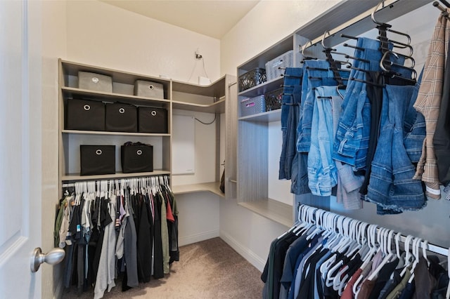 3772 Wrenwood Ave, Clovis, CA 93619 - spacious closet with carpet floors