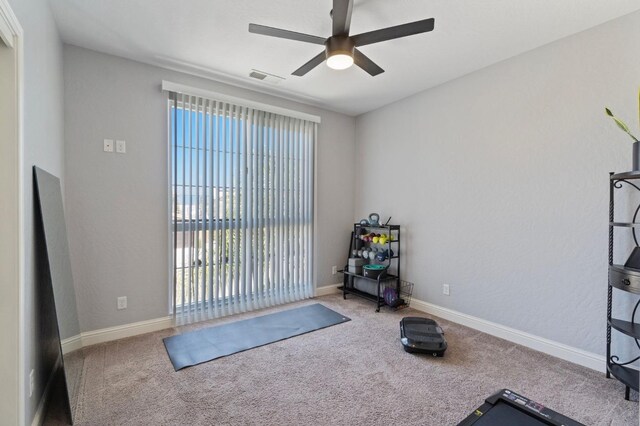 exercise area featuring plenty of natural light, a ceiling fan, visible vents, and carpet flooring