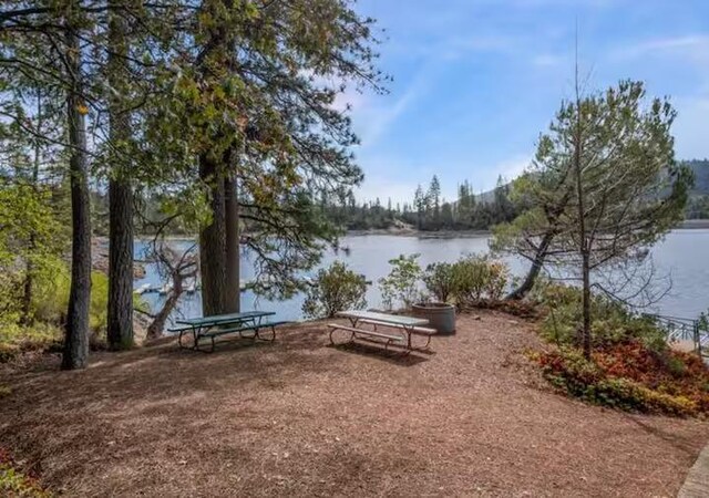 56406 Marina View Way, Bass Lake, CA 93604 - exterior space with a water view