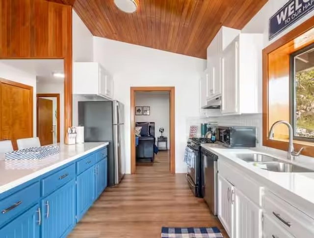 56406 Marina View Way, Bass Lake, CA 93604 - kitchen featuring a sink, appliances with stainless steel finishes, blue cabinets, and white cabinetry