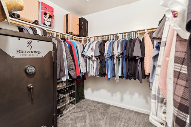 spacious closet with carpet floors