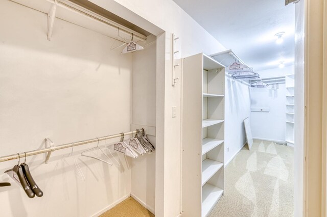 1409 W Big Sandy Rd, Fresno, CA 93711 - walk in closet featuring carpet