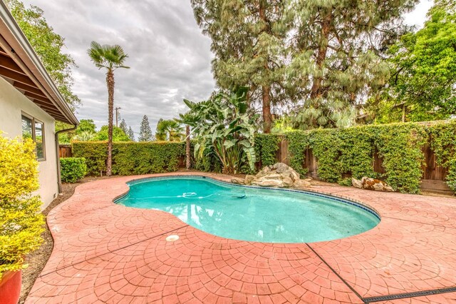 1409 W Big Sandy Rd, Fresno, CA 93711 - view of swimming pool with a fenced backyard, a fenced in pool, and a patio
