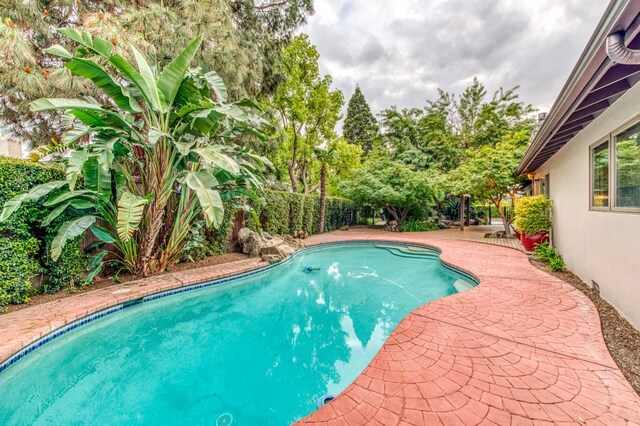 1409 W Big Sandy Rd, Fresno, CA 93711 - view of pool with a fenced in pool, a patio, and a fenced backyard