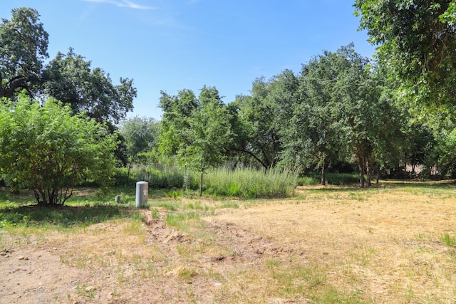 view of landscape