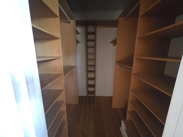 walk in closet featuring wood finished floors